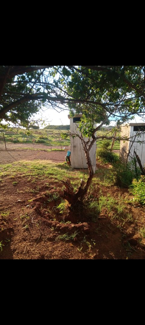  Bedroom Property for Sale in Botshabelo R Free State